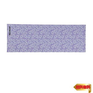 LveX^bO(CAPTAIN STAG) ؃g GNTTCY tBbglX K K}bg 61×173cm 0.6mm nCrX