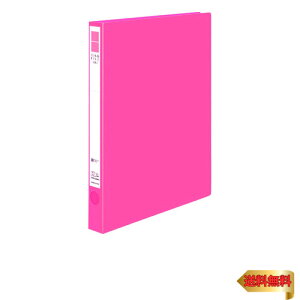 RN t@C Ot@C ER A4 w28mm sN t-UR420NP