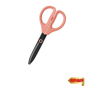 RN ͂ nT~ 􂦂nT~ TNT Lb`EH@Ή sN nT-F430P