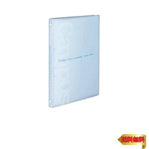 RN(KOKUYO) [Y[t oC_[ LpX X B5 26 ő30  -P733B