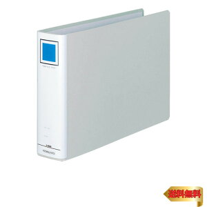 RN t@C pCvt@C A4 2 500e Vo[ t-E655C