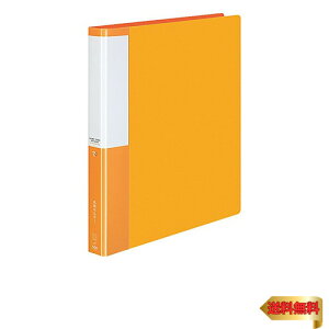 RN t@C hz_[ POSTY ֎ IW A4 500 P3C-355NYR