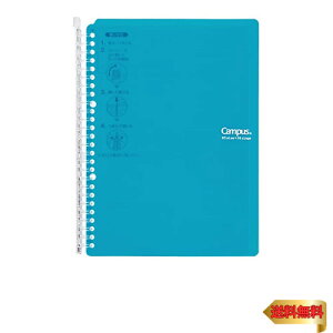 RN [Y[t oC_[ LpX X}[gO B5 26 ő60 u[O[ -SP706BG