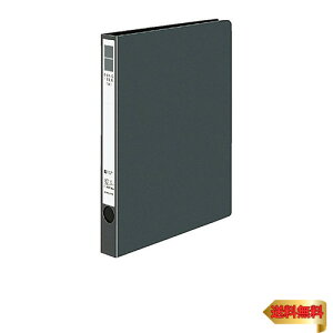 RN t@C Ot@CER B5c 170 2 _[NO[ t-UR421DM