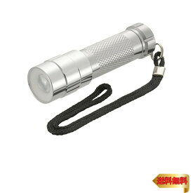 オーム電機 懐中電灯 防水 LEDズームライト スパークルド 60ルーメン LDA-Y3WZ-S2 08-1009 OHM