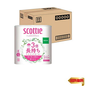 yP[X̔z XRbeB t[pbN 3{ gCbg4[ 75m_u  ×12pbN