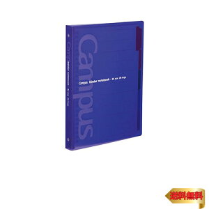 RN [Y[t oC_[ LpX B5 26 ő100  XCh -P333NV