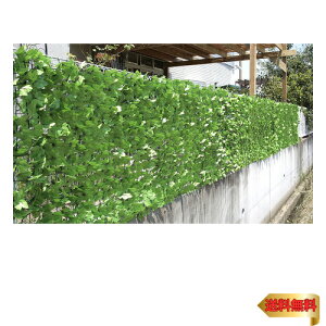 rOAEg(Living Out) ډBO[tFX CgO[ 1×3m