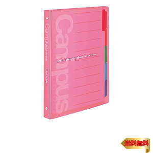 RN [Y[t oC_[ LpX B5 26 ő100  XCh -P333NP