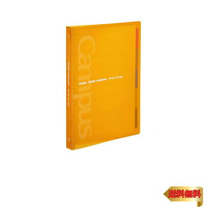 RN [Y[t oC_[ LpX B5 26 ő100 IW XCh -P333NYR