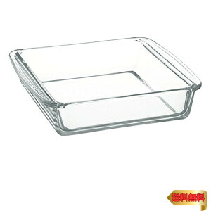 iwaki(CL) ϔMKX P[L^ O^M p^ 18×18cm BC221