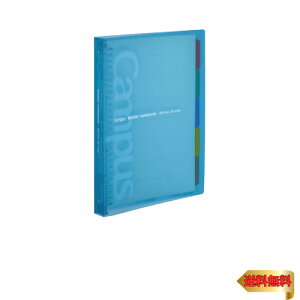 RN [Y[t oC_[ LpX B5 26 ő100 Cgu[ XCh -P333NLB