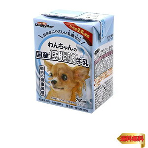 hM[} 񂿂̍Yᎉb Sp 200~bg (x 24) (P[X̔)