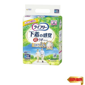 Ct[ pc^Cv ^opc MTCY 22 4z lpނ ylŕzyΕz