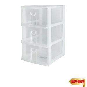 TR[vX`bN [3i GsX 30.5×36×51cm zCg