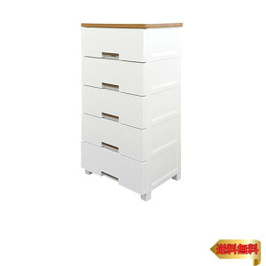 Vn(Tenma) g₷ǋ_ȃ`FXg { i tBbcvXbV 5i 擾 obNtŔ