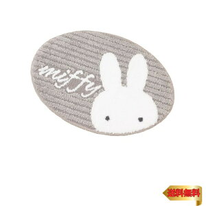 �Z���R�[ �~�b�t�B�[ ���O �v���[�}�~�b�t�B�[ �A�N�Z���g�}�b�g ��43×60cm �O���[ �L���� 72663