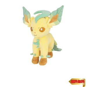 Opf(Sanei Boeki) |PbgX^[ ALL STAR COLLECTION [tBA (M) W21×D21×H31cm