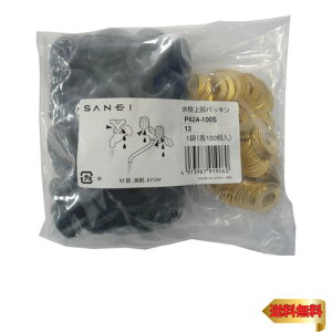 SANEI Ci 㕔pbL Ă13p 100 P42A-100S-13