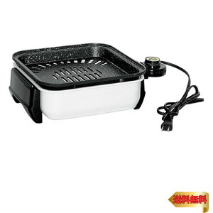 R ēv[g  lē łtɂ 21×21cm RpNg 傱傱Ă Ȃ nCp[1200W 3w}