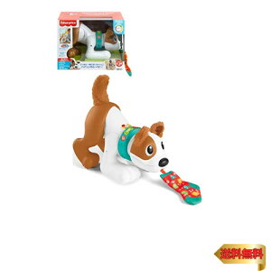 tBbV[vCX(fisher price) ʂƈꏏɂ oCKEps[ y6~zyԂ zHGY01