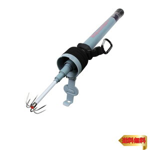 vbNX(PROX) nhXLbhMt 500 OHSQ50 fBOMt yЎŃAICJ荞߂EMtяoȂ