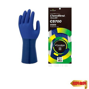 [V[O[u] Hiq@KEϖi PXg CS700 u[ XLTCY 1o