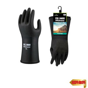 V[O[u yCO[uEAEghAeXEShz TEMRES 04advance 3LTCY ubN hO[uh