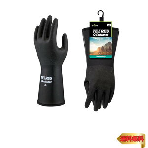 V[O[u yCO[uEAEghAeXEShz TEMRES 04advance LLTCY ubN hO[uh