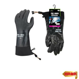 V[O[u yh܁EAEghAeXEhz TEMRES 02winter LLTCY ubN hCi[thO[u