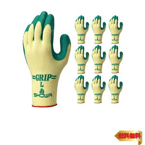 [V[O[u] 10opbN ȈՕ Obv(\tg^Cv) O[ MTCY 10o