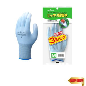 y|E^R[eBO܁z V[O[u(Showaglove) No.260sb^w MTCY u[ 3opbN