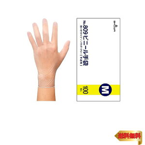 [V[O[u] 100 No.809rj[ MTCY 1 