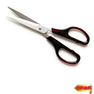 iXJ(NASKA)  VL[͂ 170mm