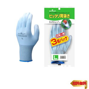 V[O[u y|E^R[eBO܁zNo.260sb^w LTCY u[ 3opbN