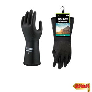 V[O[u yCO[uEAEghAeXEhz TEMRES 04advance LTCY ubN hO[uhCi