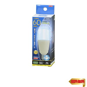 I[d@ LEDd T`(`60`/834lm/F/E17/S270°/`Ή/fMގ{HΉ) LDT6D-G-