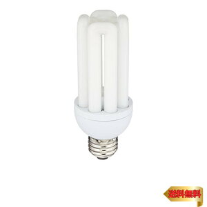 LEDd D` E26 100` dF_LDF13L-G-E26 06-1686 I[d@