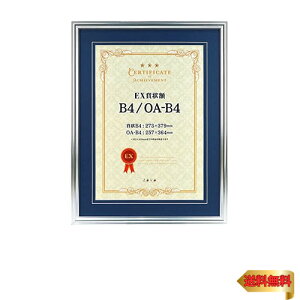 万丈 VANJOH EX賞状額B4兼用判 シルバー(マット青) 106636