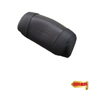 GIVI(Wr) oCNp A{bNX mL[ IvVi(V47p) obNXg E134S 91028
