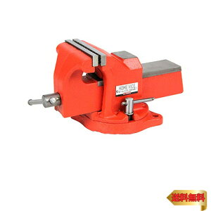 C[o[(E-Value) z[oCX ]t Art 100mm