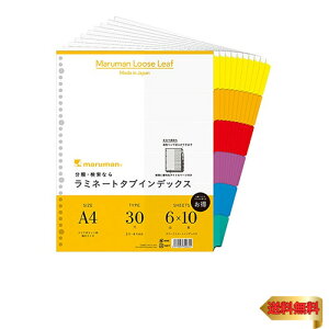 }} CfbNX A4 L 30 (2Ή) CfbNXV[g 6R 10g 1 LT3006F