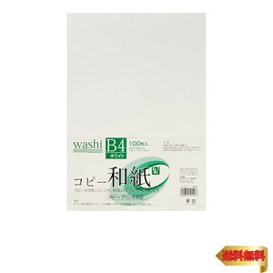 }AC J[Rs[p a B4 zCg 100 J~-4BW