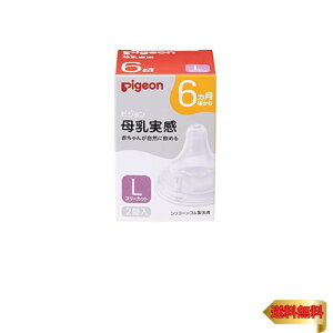 sW   6 L 2 K؂ȋz(b`I)ɓ