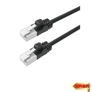 GR LANP[u PS5Ή CAT6A ܐ܂h~ 10m ubN GM-LDGPAT/BK100