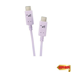 GR USB-C & USB-C P[u 60W 20V 3A 2m USB PDΉ X[s[(p[v×ubN) yiPhone