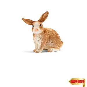 VCq t@[[h ETM 13827N