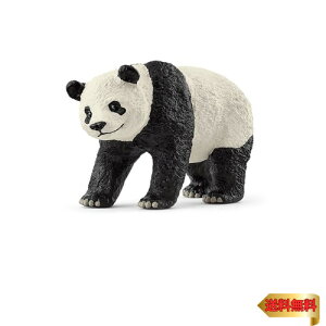 VCq ChCt WCAgp_ 14885