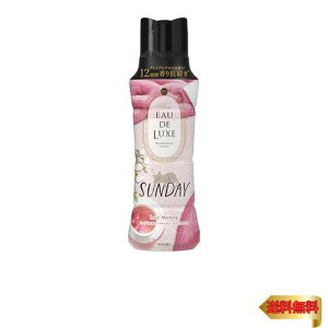 Lenor mA I[hNX tpr[Y }ChtlXV[Y Tf[ { 520mL