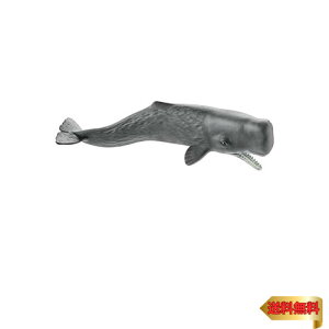 VCq ChCt }bRENW tBMA 14764